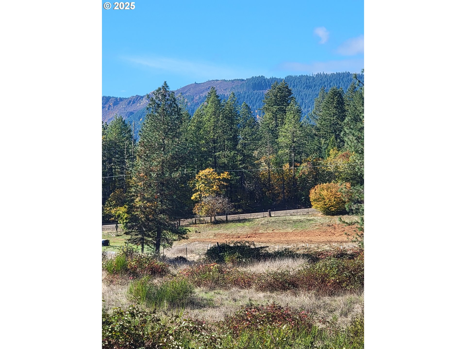 947 Elgarose Road Roseburg, OR 97471 - Photo 6 of 22 Gallery Image 6