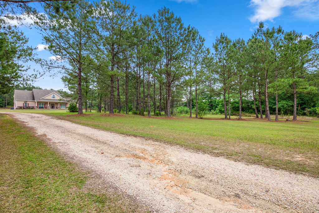 240 Cedar Springs Road Ashford, AL 36312 - Photo 13 of 71