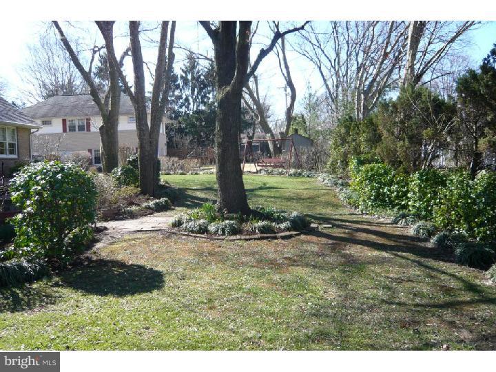 1204 Evergreen Road Wilmington, DE 19803 - Photo 24 of 24 Back Yard