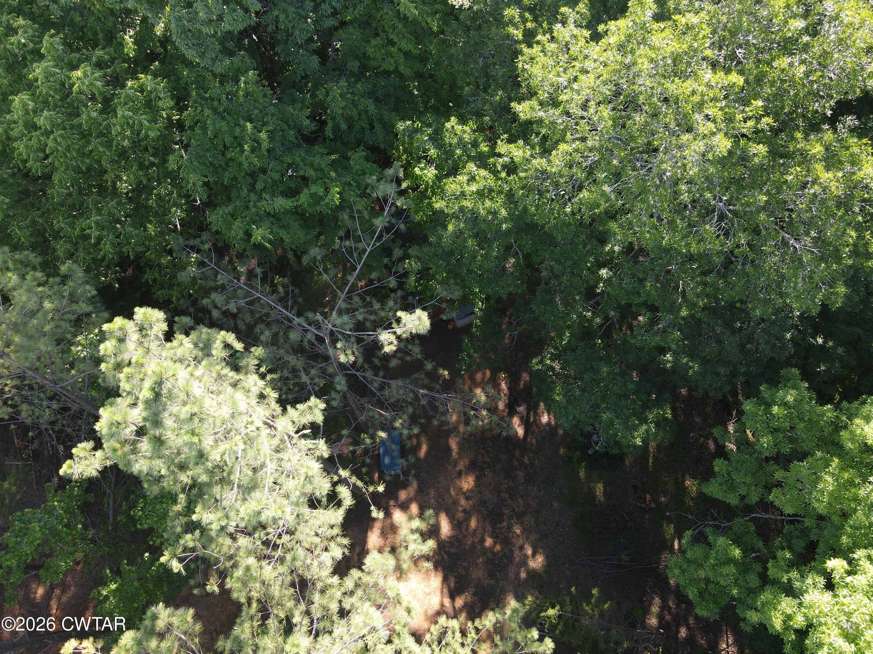 1782 Smith Chapel Road Decaturville, TN 38329 - Photo 20 of 22 a view of a tree in a yard
