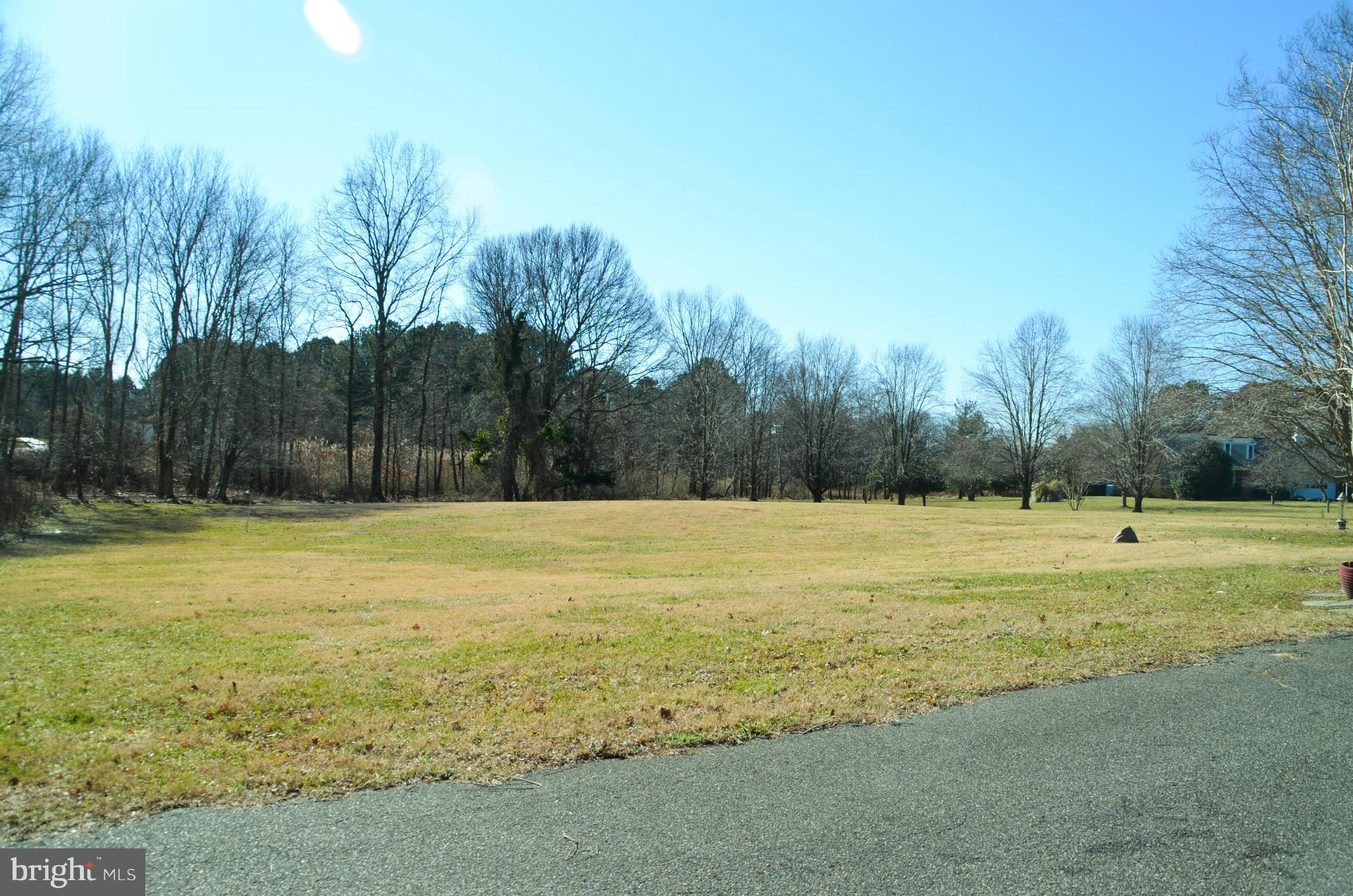 28021 Waverly Road Easton, MD 21601 - Photo 28 of 30 Rear Yard