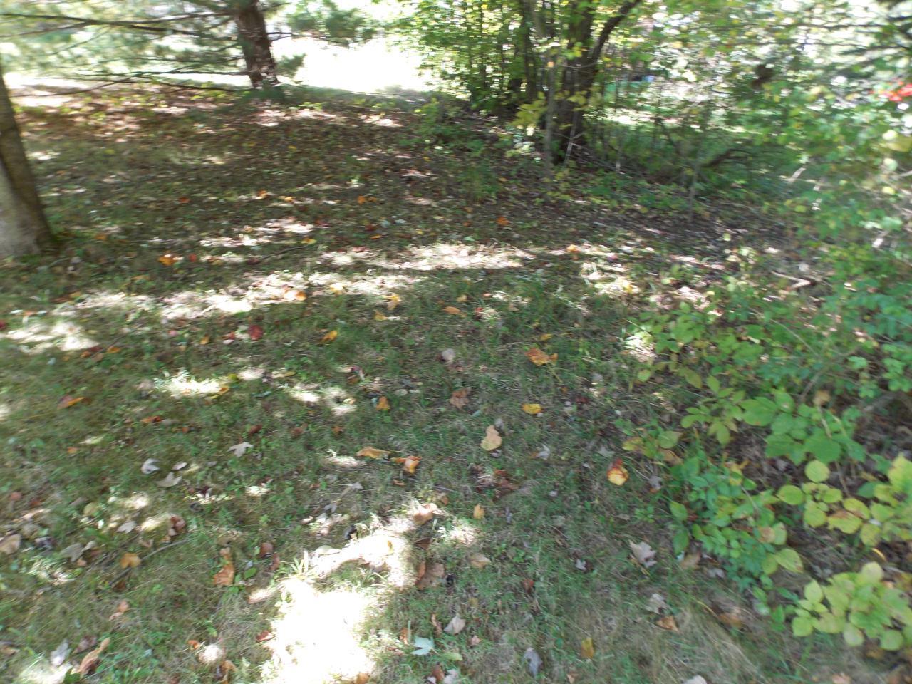 7377 Lewis Center Road Galena, OH 43021 - Photo 23 of 24 Gallery Image 23
