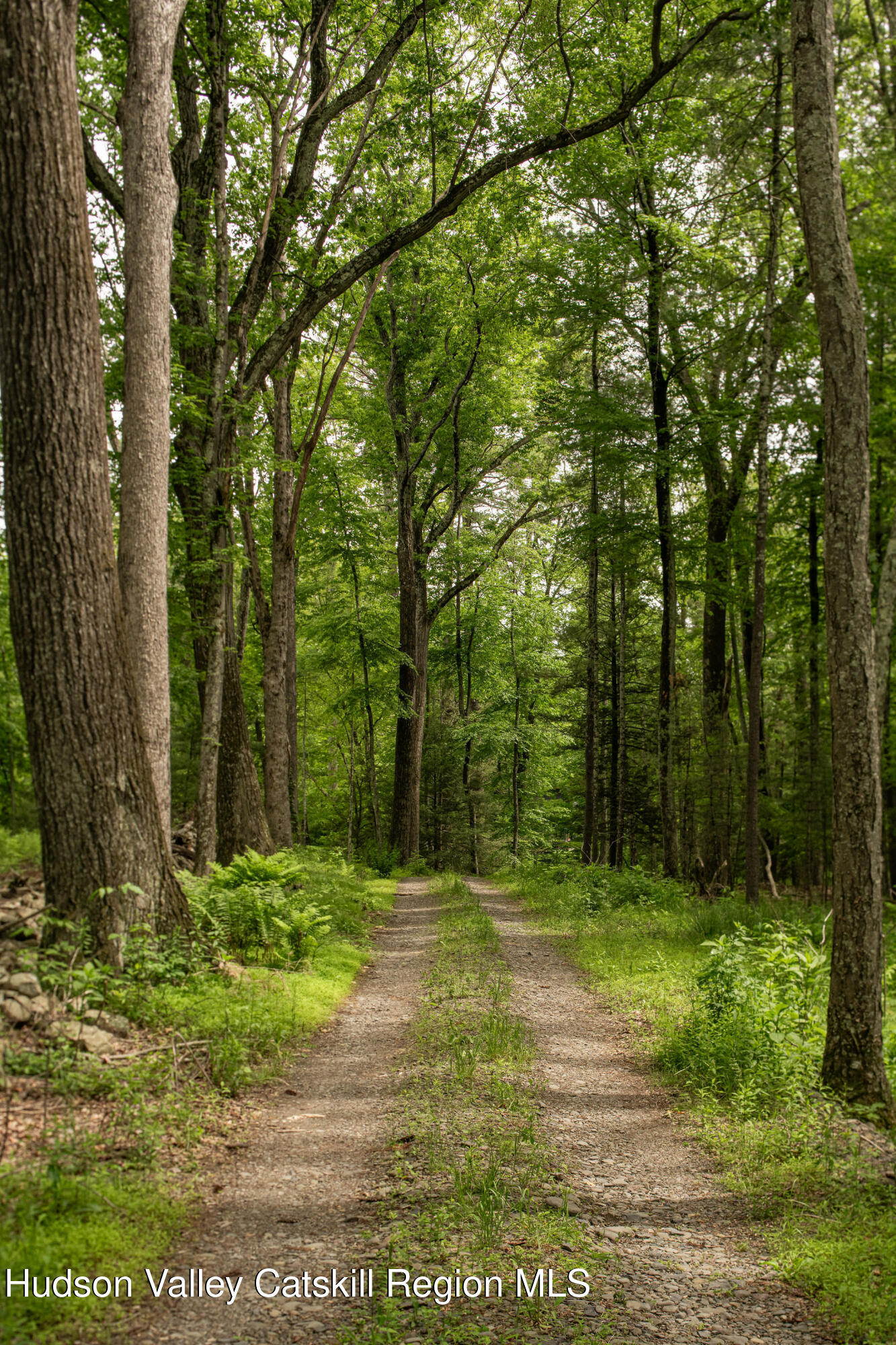 129 Krum Road Kerhonkson, NY 12446 - Photo 29 of 42 a view of outdoor space with trees