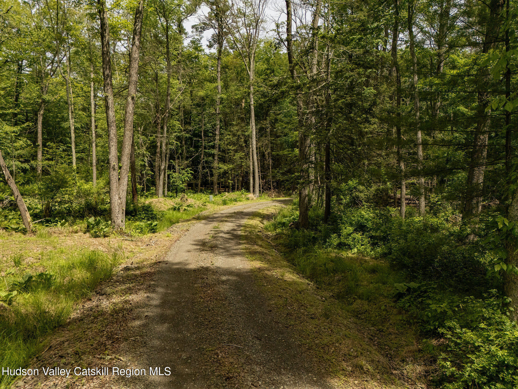 129 Krum Road Kerhonkson, NY 12446 - Photo 30 of 42 a view of outdoor space with trees
