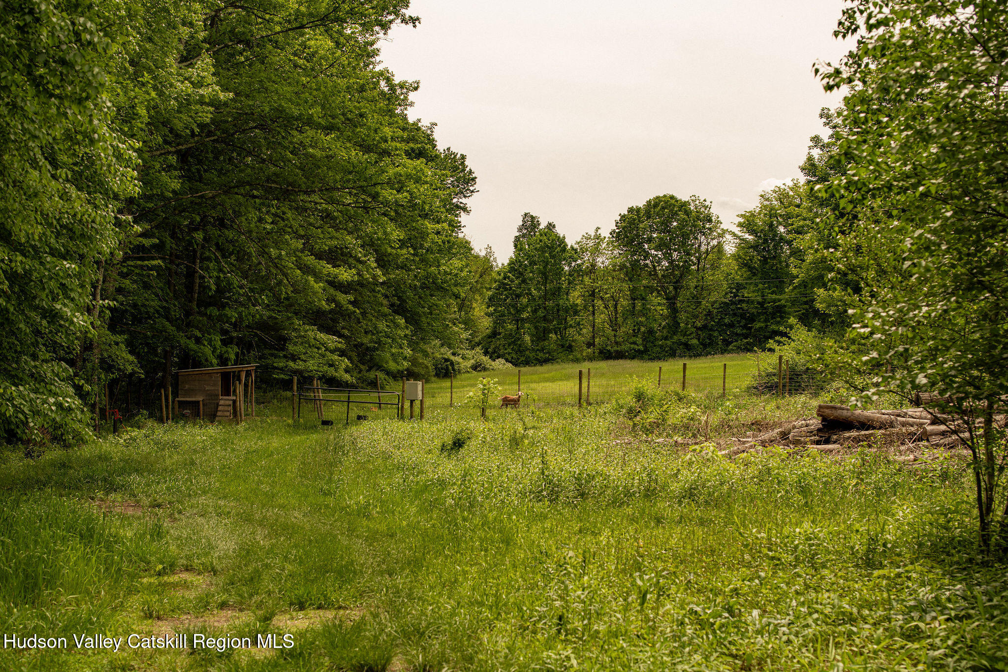 129 Krum Road Kerhonkson, NY 12446 - Photo 38 of 42 a view of swimming pool from a yard