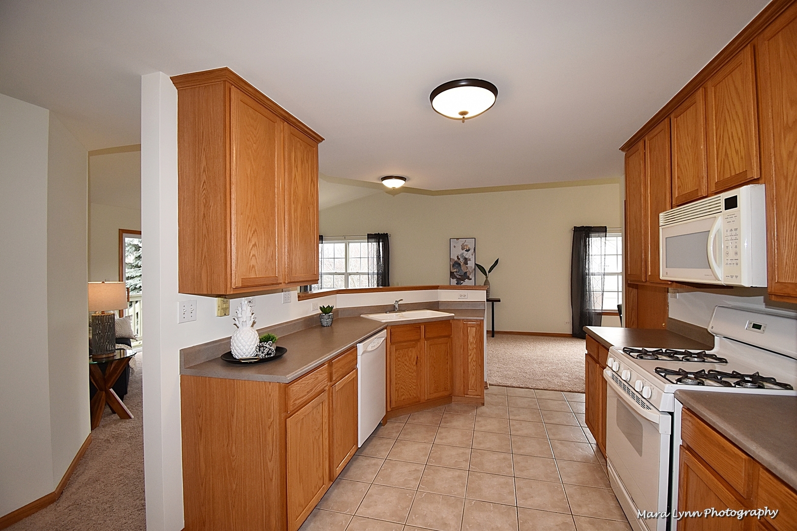 2207 Rockefeller Drive Geneva, IL 60134 - Photo 17 of 31