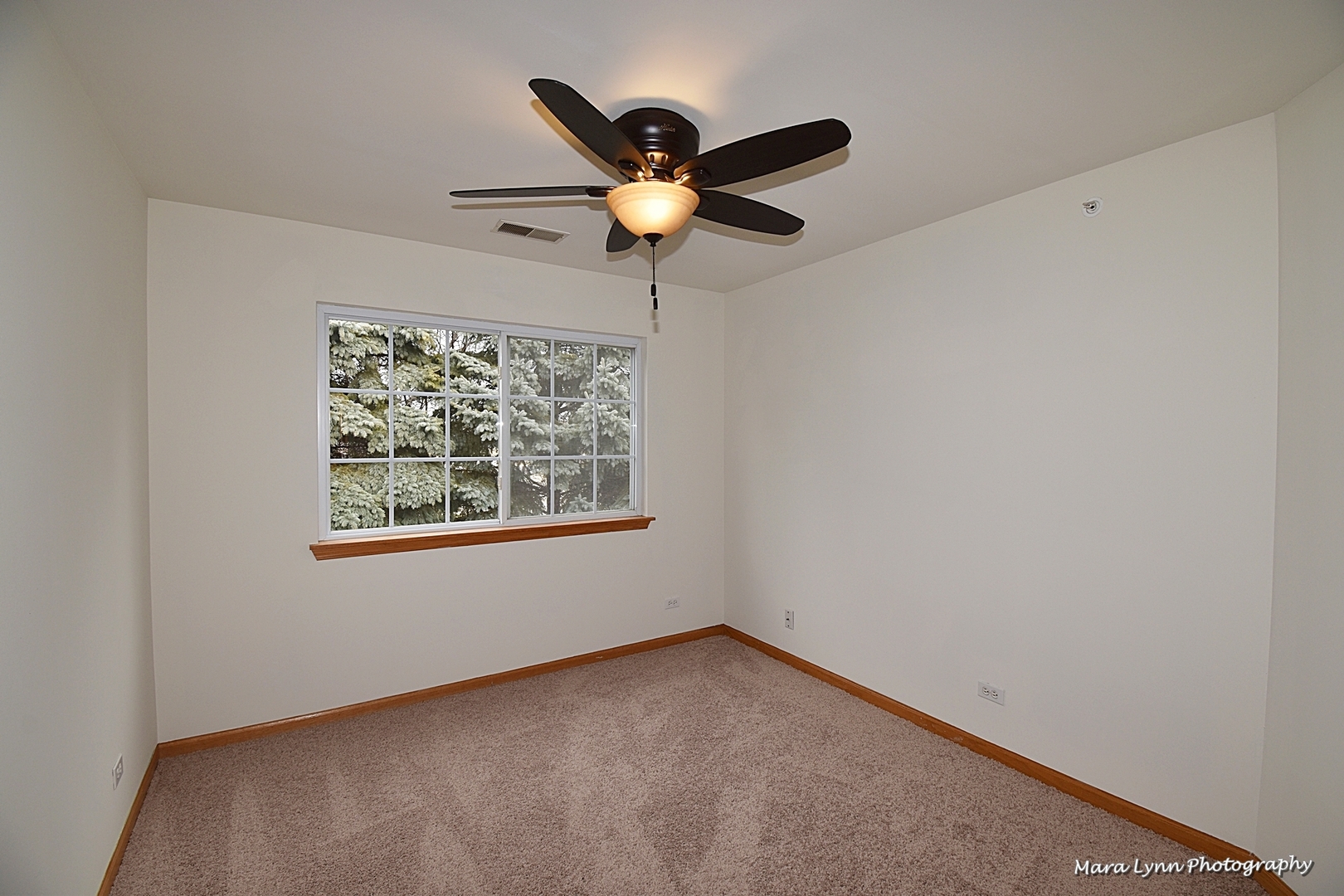 2207 Rockefeller Drive Geneva, IL 60134 - Photo 23 of 31