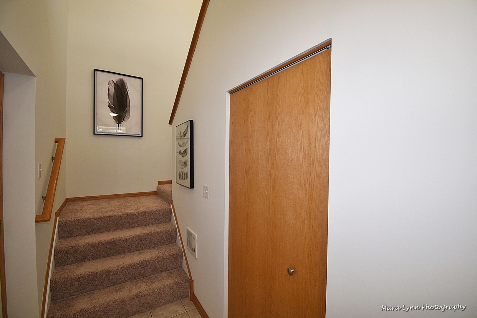 2207 Rockefeller Drive Geneva, IL 60134 - Photo 5 of 31