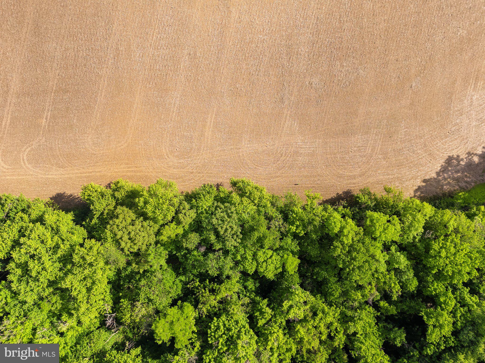Job Corps Road Shenandoah Junction, WV 25442 - Photo 13 of 18 a view of a garden