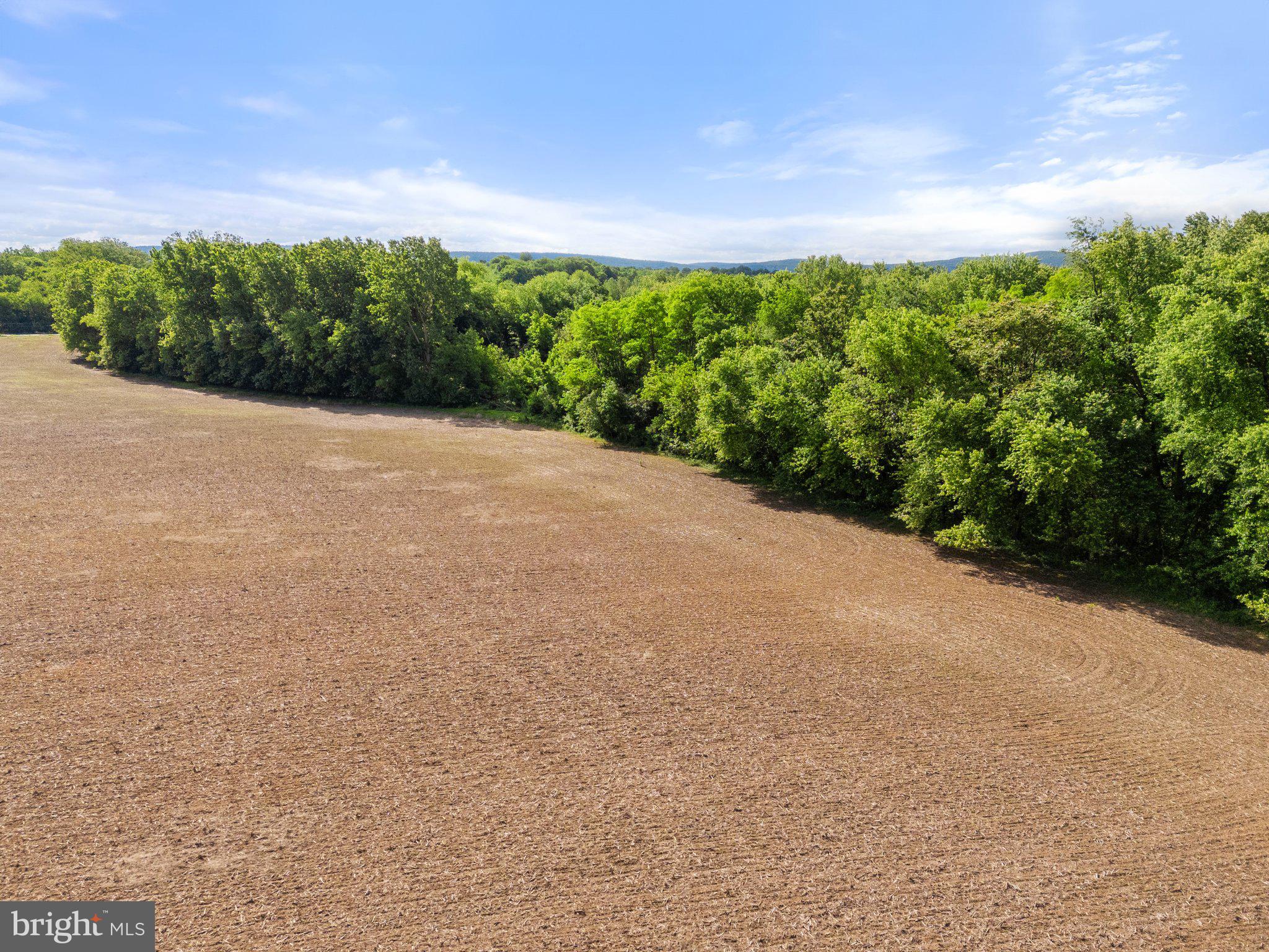 Job Corps Road Shenandoah Junction, WV 25442 - Photo 15 of 18 a view of a street