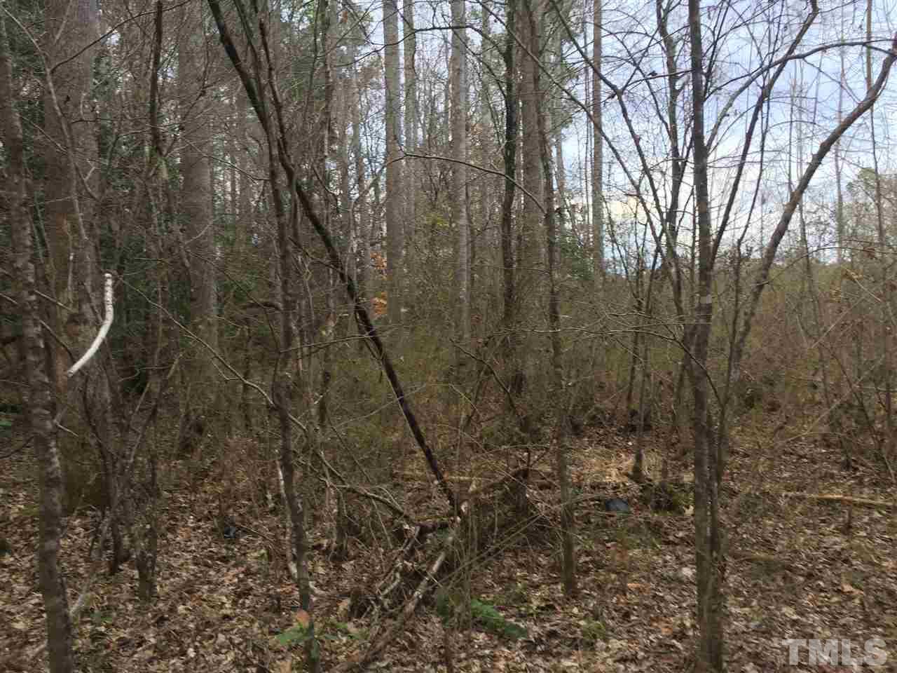 10355 Claude Lewis Road Middlesex, NC 27557 - Photo 13 of 15