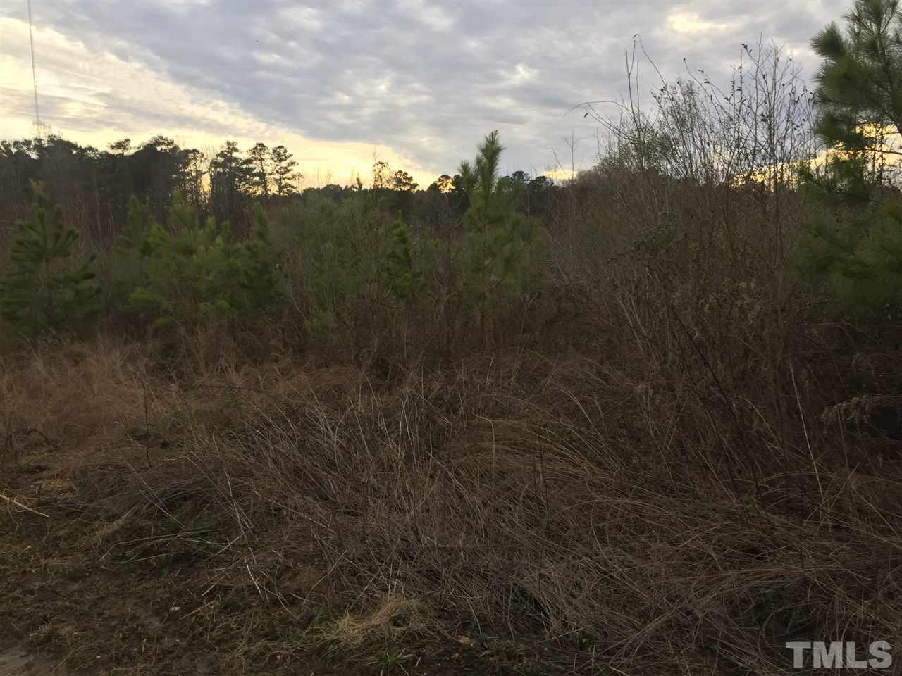 10355 Claude Lewis Road Middlesex, NC 27557 - Photo 14 of 15