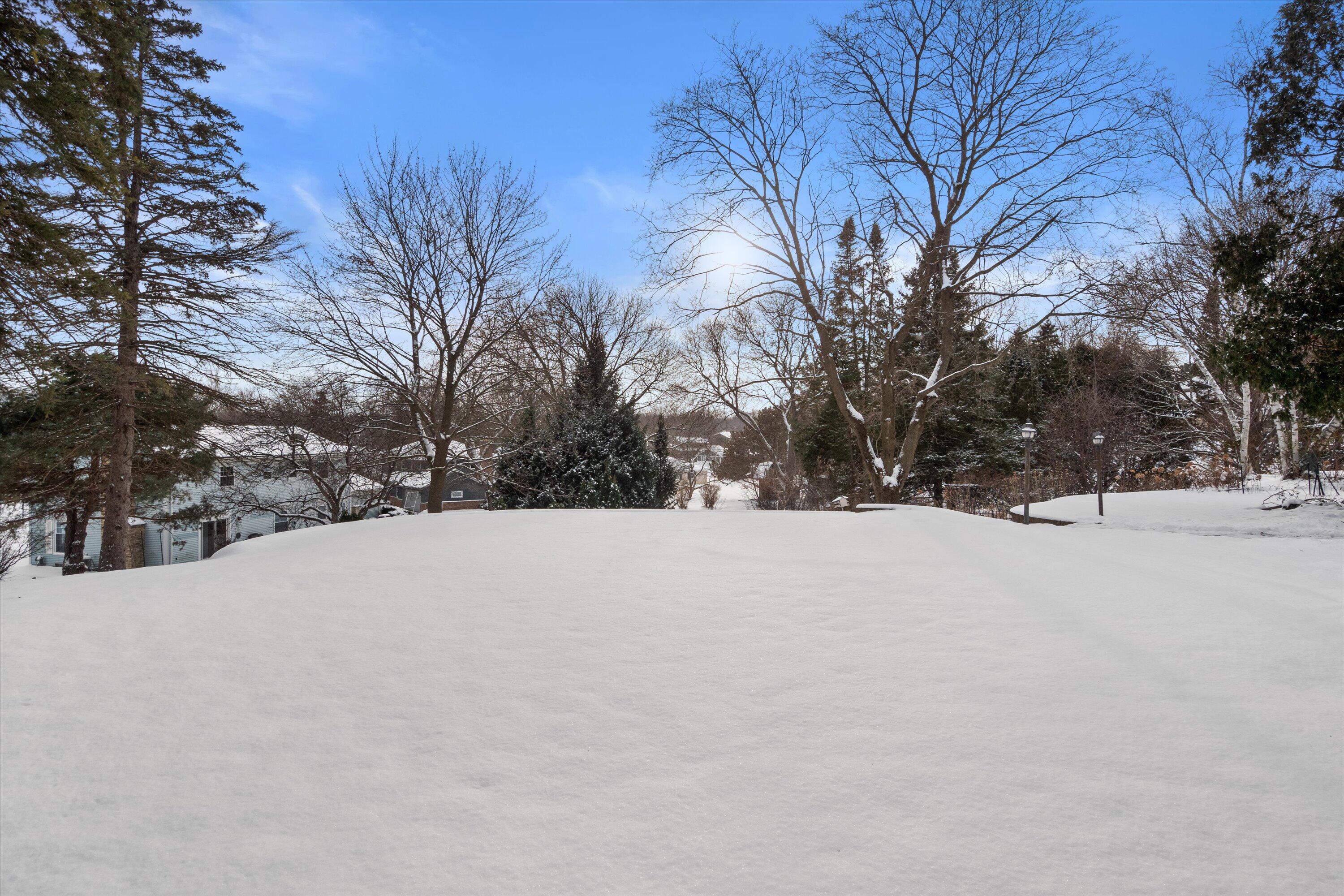 15165 West Burleigh Road Brookfield, WI 53005 - Photo 73 of 81 Backyard View 2