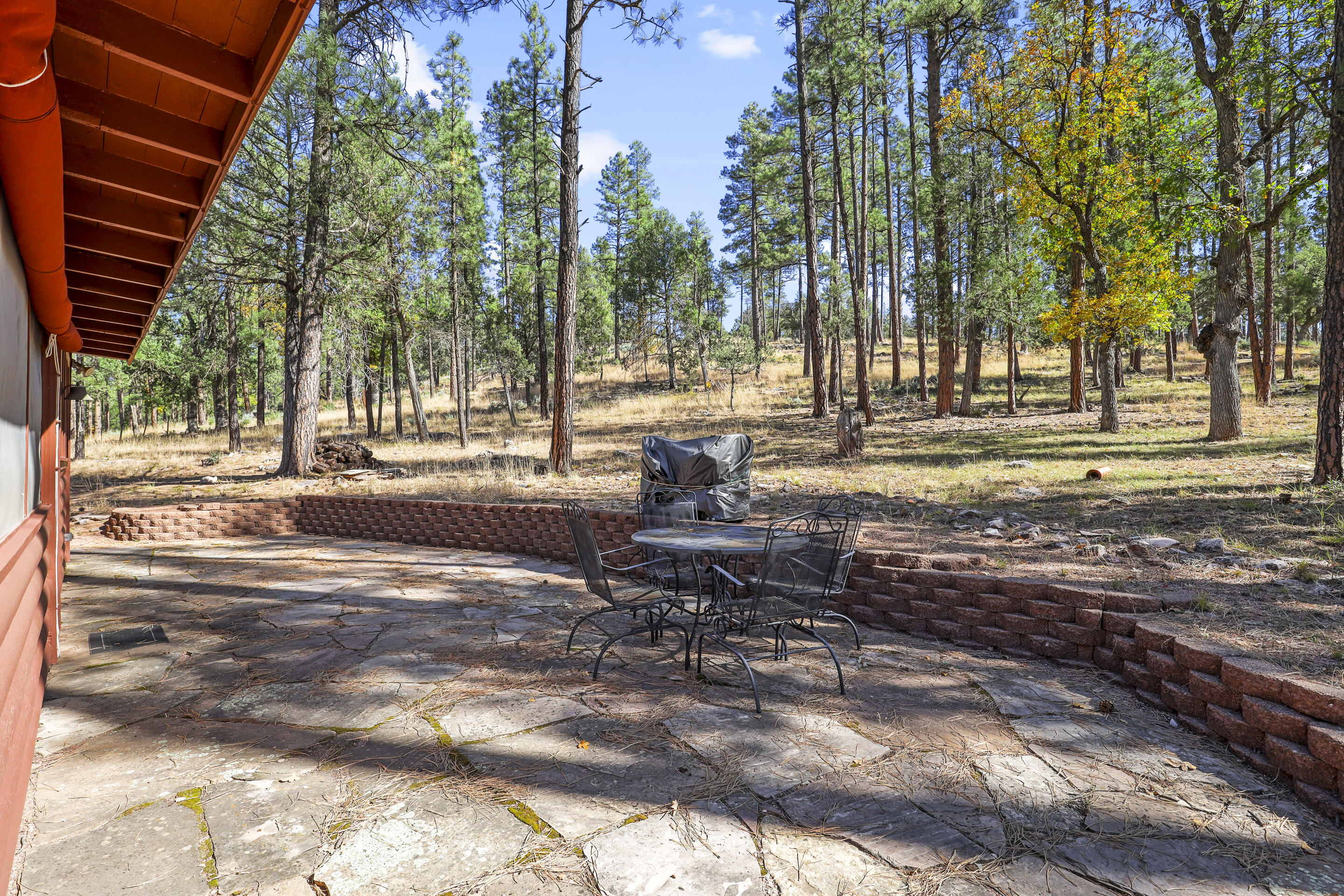 383 West Diamond Road Payson, AZ 85541 - Photo 22 of 32 mls-1E0A9986 copy
