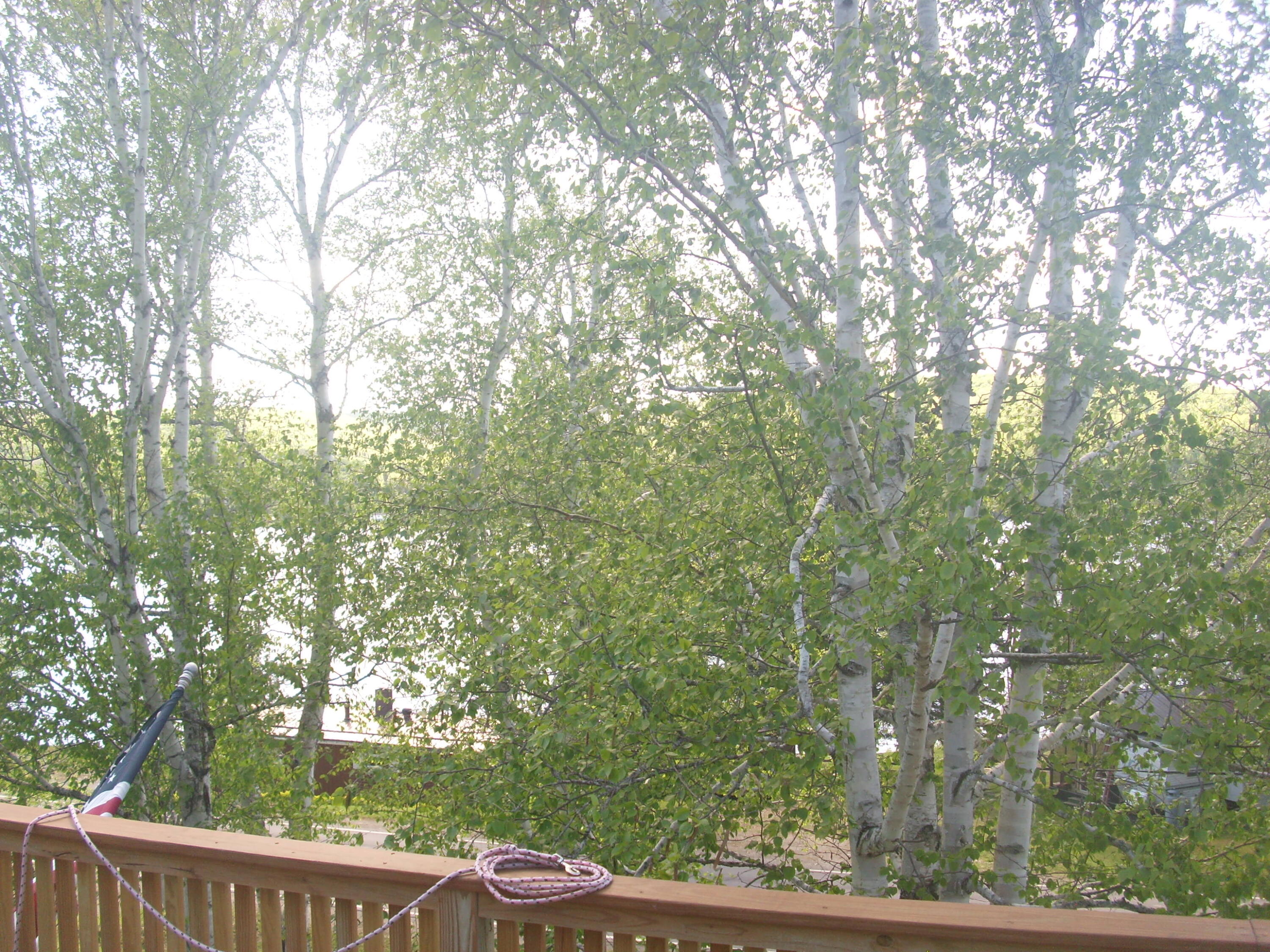 1194 Sly Brook Road Eagle Lake, ME 04739 - Photo 9 of 67 DSCI0280