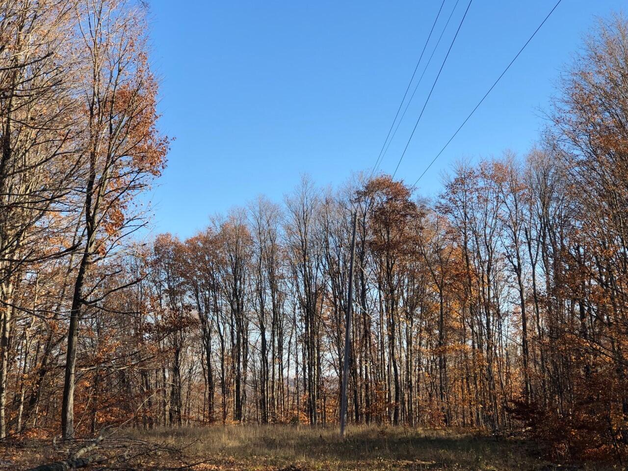 Crump Road Alanson, MI 49706 - Photo 15 of 17 Gallery Image 15