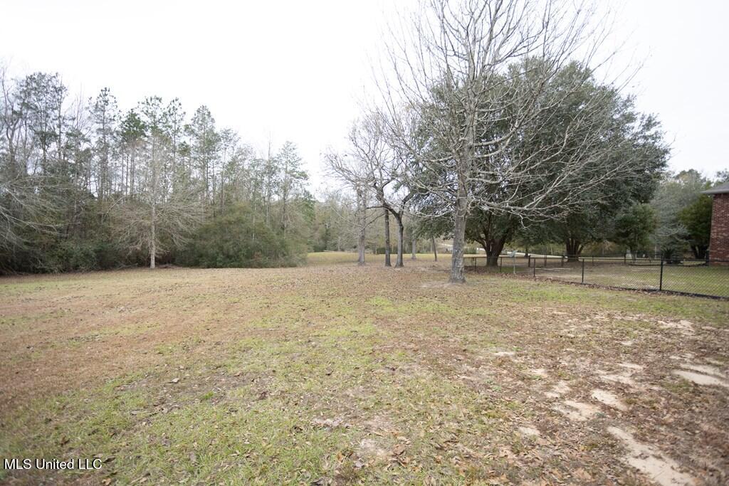 4 Mitchell Cove Carriere, MS 39426 - Photo 27 of 30 35248CBB-8A24-469A-AC25-2408CD7DD961