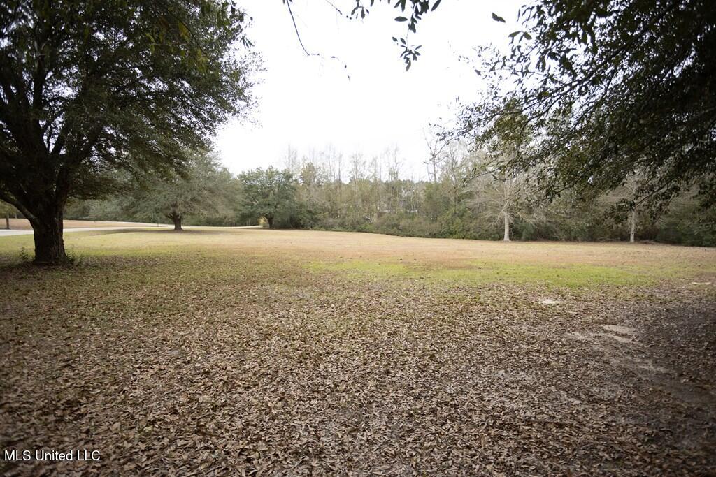 4 Mitchell Cove Carriere, MS 39426 - Photo 29 of 30 219796B0-94B0-4858-9E2B-AB0594611C90