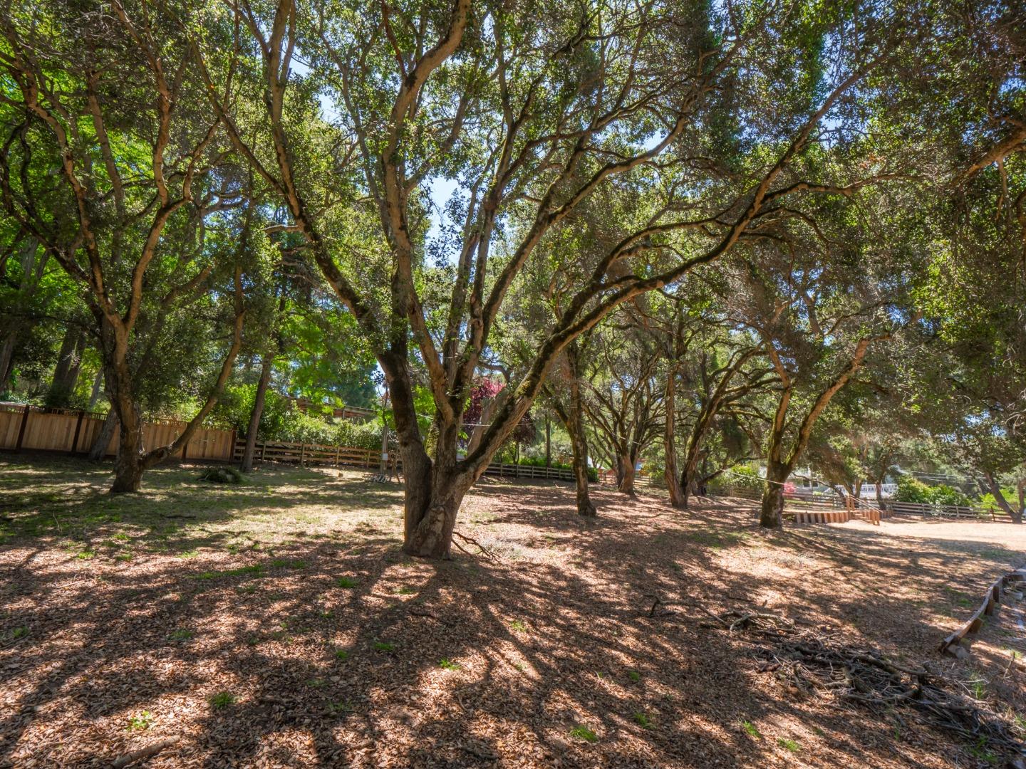 181 Barnes Road Aptos, CA 95003 - Photo 59 of 64 Gallery Image 59