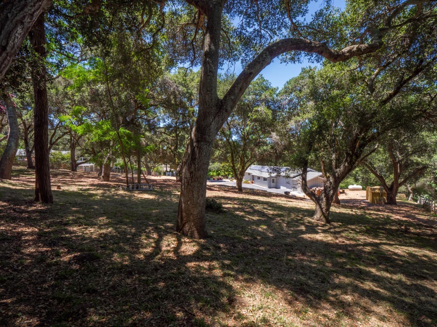 181 Barnes Road Aptos, CA 95003 - Photo 60 of 64 Gallery Image 60