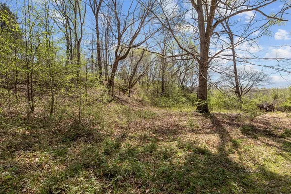 $109,900 | 0 Doe Court, Waverly, TN 37185