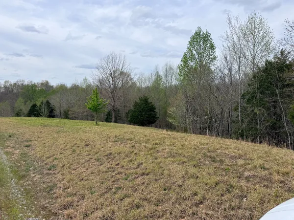 $109,900 | 0 Doe Court, Waverly, TN 37185