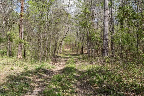 $109,900 | 0 Doe Court, Waverly, TN 37185