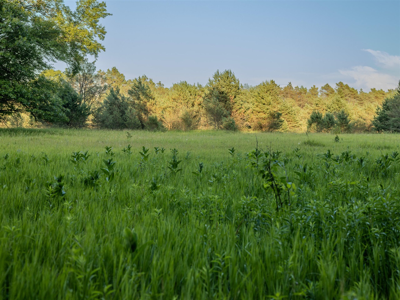 1 East Arthur Road Rothbury, MI 49452 - Photo 3 of 19