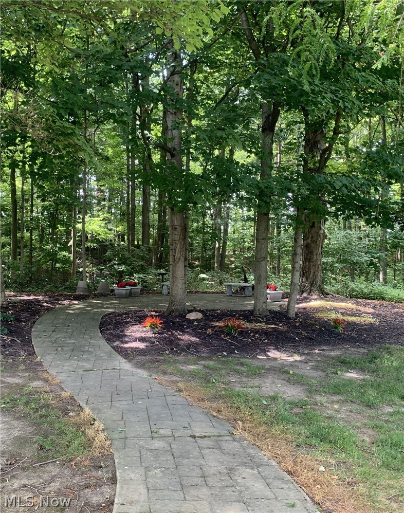 521 Hasbrock Road Norwalk, OH 44857 - Photo 43 of 50 Walkway leading to Patio Near the Woods