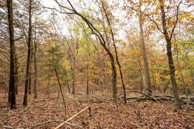 $530,200 | 8875 Northeast 1275th Road, Osceola, MO 64776