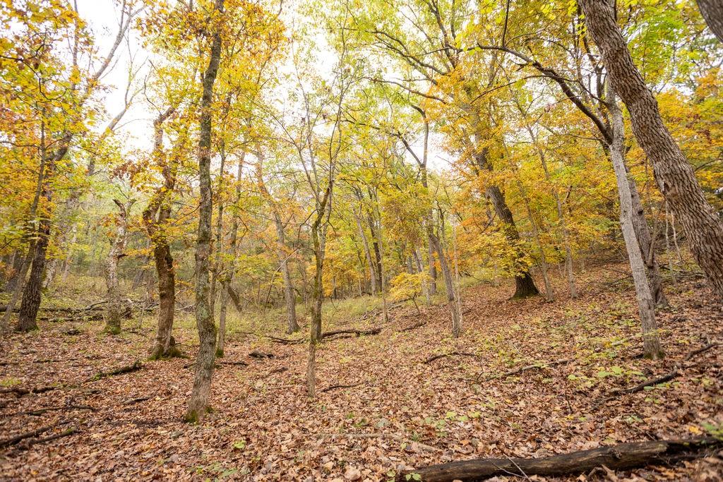 8875 Northeast 1275th Road Osceola, MO 64776 - Photo 15 of 99