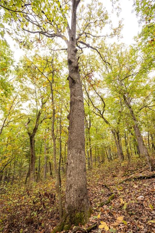 8875 Northeast 1275th Road Osceola, MO 64776 - Photo 19 of 99