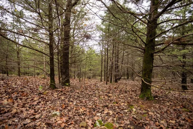 $530,200 | 8875 Northeast 1275th Road, Osceola, MO 64776