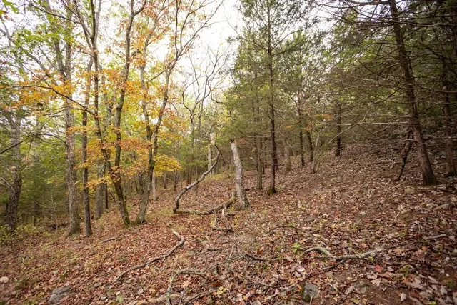 $530,200 | 8875 Northeast 1275th Road, Osceola, MO 64776