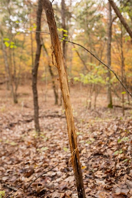 8875 Northeast 1275th Road Osceola, MO 64776 - Photo 24 of 99