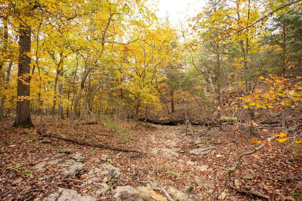 8875 Northeast 1275th Road Osceola, MO 64776 - Photo 25 of 99