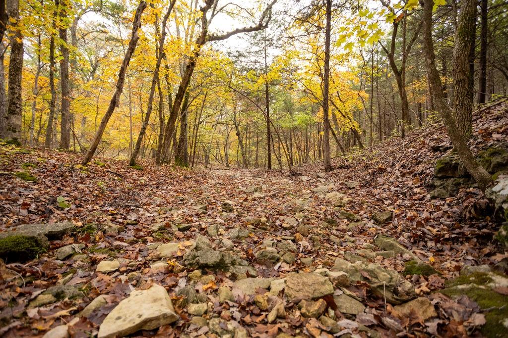 8875 Northeast 1275th Road Osceola, MO 64776 - Photo 28 of 99