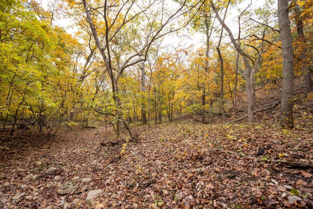 8875 Northeast 1275th Road Osceola, MO 64776 - Photo 29 of 99