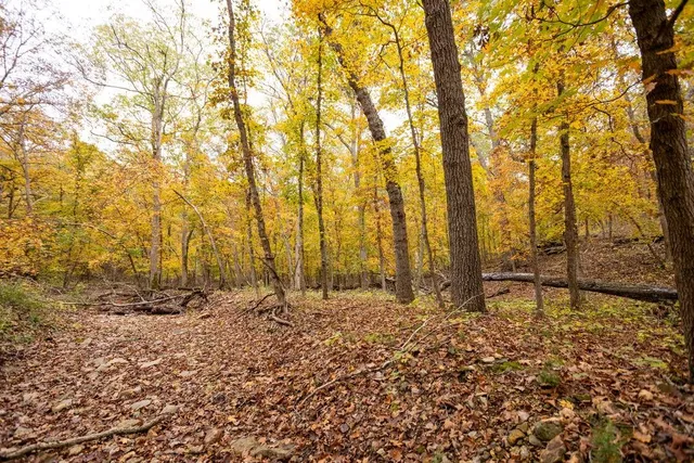 $530,200 | 8875 Northeast 1275th Road, Osceola, MO 64776