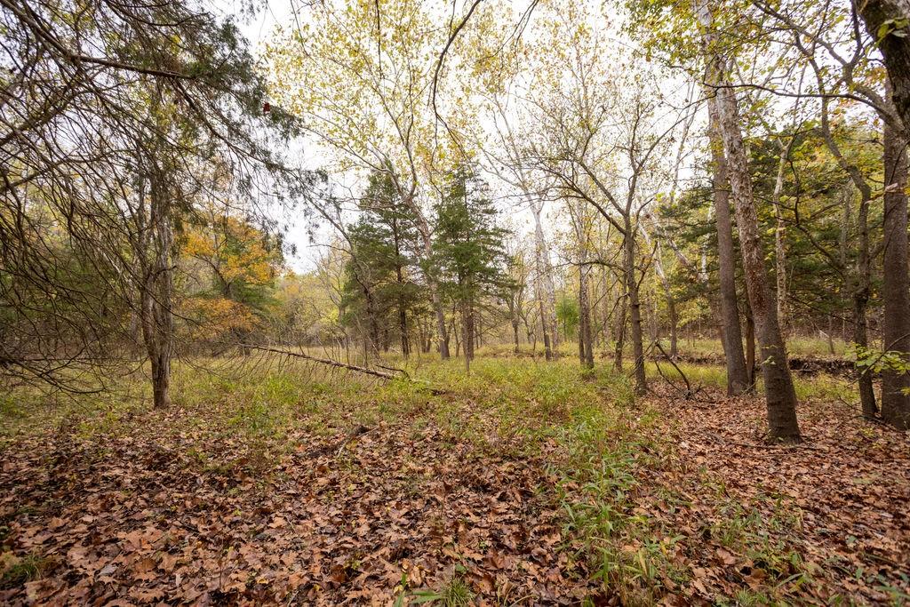 8875 Northeast 1275th Road Osceola, MO 64776 - Photo 34 of 99