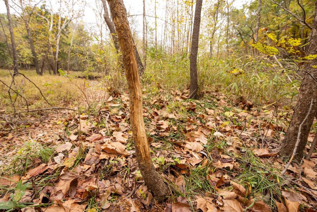 8875 Northeast 1275th Road Osceola, MO 64776 - Photo 35 of 99