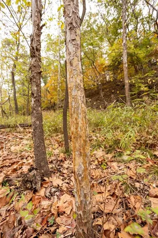 $530,200 | 8875 Northeast 1275th Road, Osceola, MO 64776