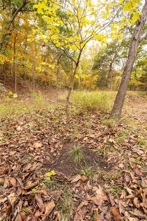 8875 Northeast 1275th Road Osceola, MO 64776 - Photo 37 of 99