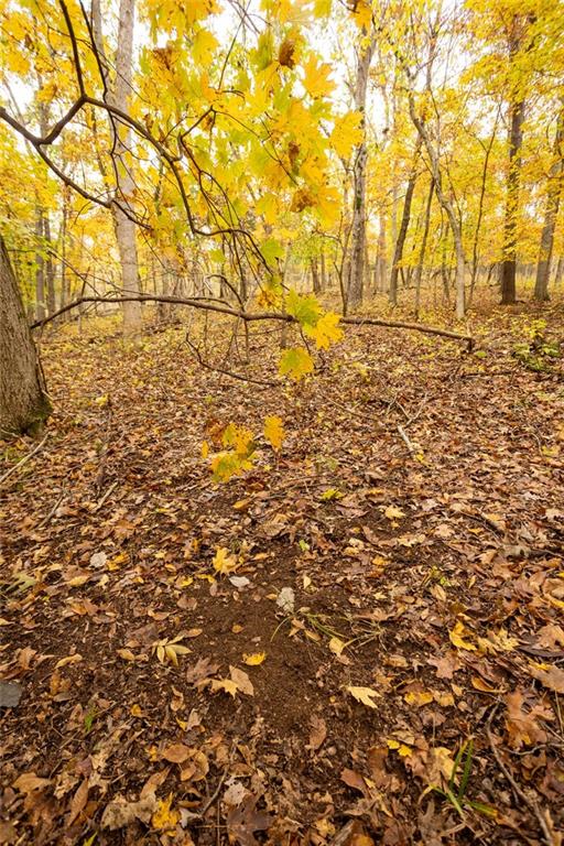 8875 Northeast 1275th Road Osceola, MO 64776 - Photo 38 of 99