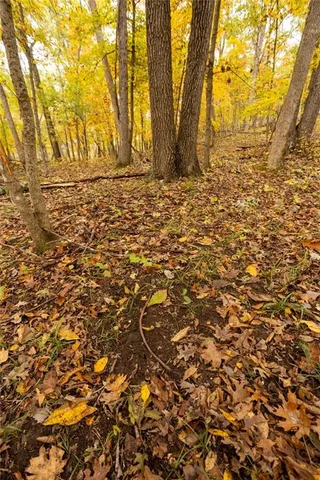 $530,200 | 8875 Northeast 1275th Road, Osceola, MO 64776