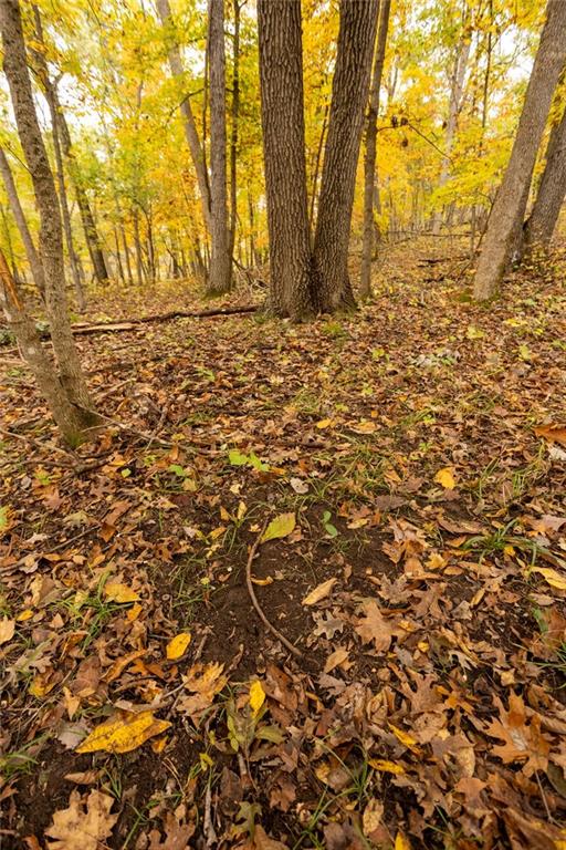 8875 Northeast 1275th Road Osceola, MO 64776 - Photo 39 of 99