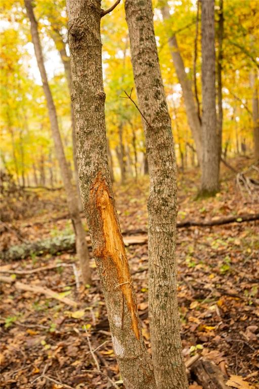 8875 Northeast 1275th Road Osceola, MO 64776 - Photo 40 of 99