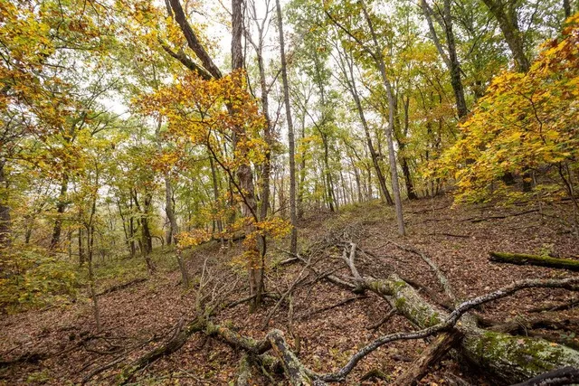 $530,200 | 8875 Northeast 1275th Road, Osceola, MO 64776