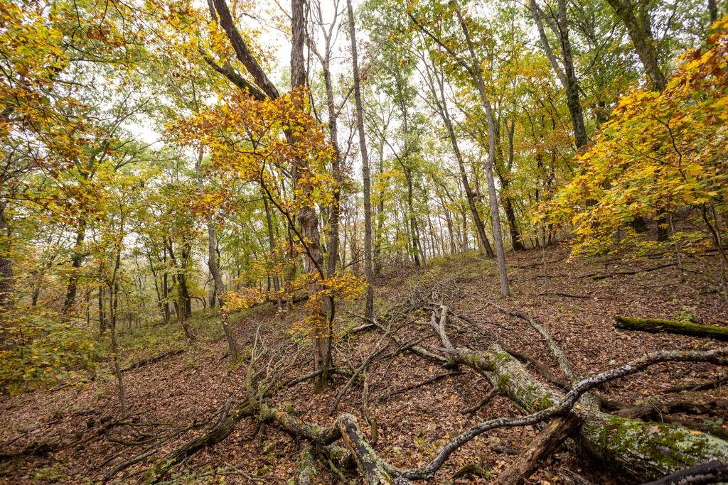 8875 Northeast 1275th Road Osceola, MO 64776 - Photo 4 of 99