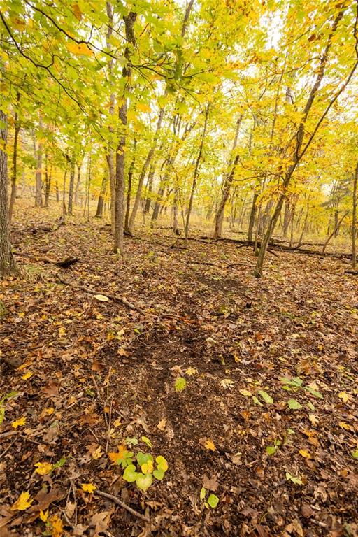 8875 Northeast 1275th Road Osceola, MO 64776 - Photo 41 of 99